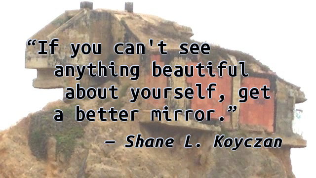 If you can't see anything beautiful about yourself, get a better mirror.