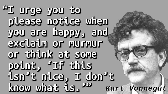 I urge you to please notice when you are happy, and exclaim or murmur or think at some point, 'If this isn't nice, I don't know what is.'